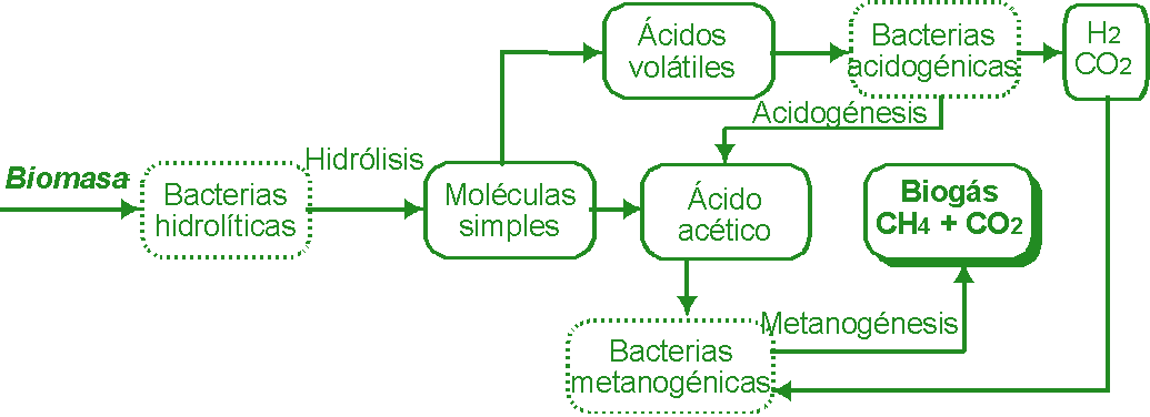 Pulsar para volver al texto