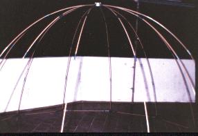 Estructura de la c�pula