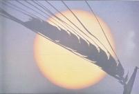 Biomasa y energ�a solar