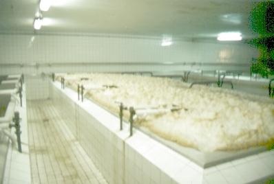 Cubas de fermentaci�n