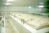 Cubas de fermentaci�n