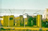 Planta de digesti�n anaerobia