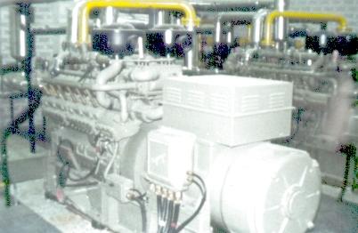 Generador el�ctrico de biog�s