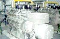 Generador el�ctrico de biog�s