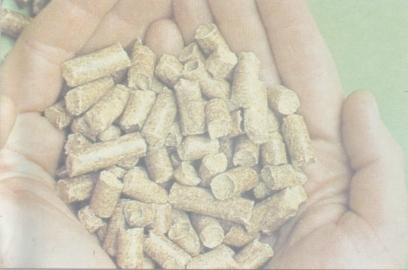 Biomasa residual combustible