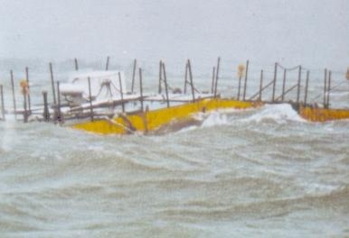 Convertidor de olas (balsa Cockerell